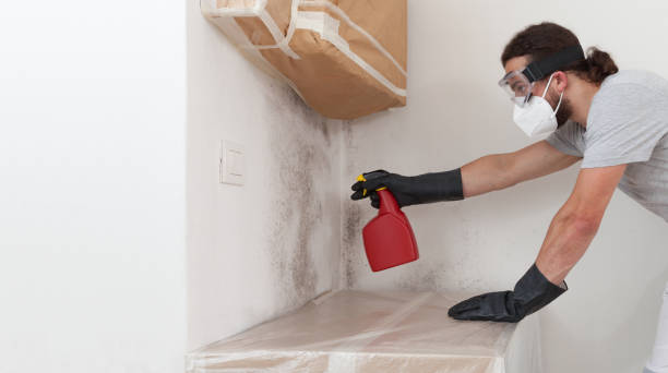 Professional Mold Inspection And Testing technician working in Pompton Lakes, NJ